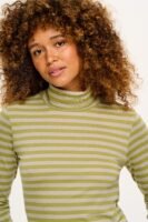 Hayden - Cotton & Modal Roll neck top in Sage Stripe